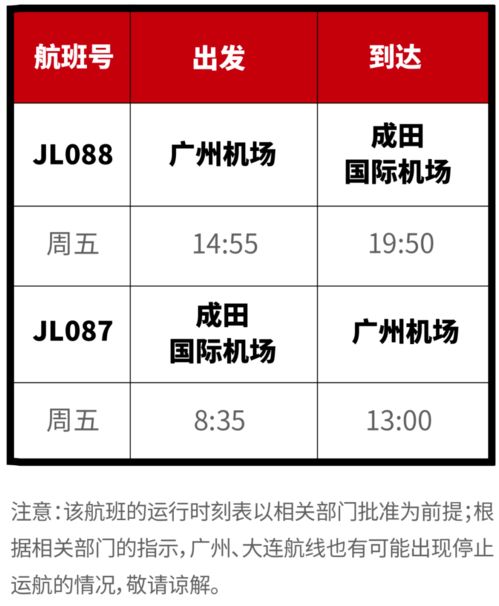 12月国际航班怎么飞？中外各大航空公司最新计划与旅游安排全解析